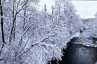 Flussufer im Winter