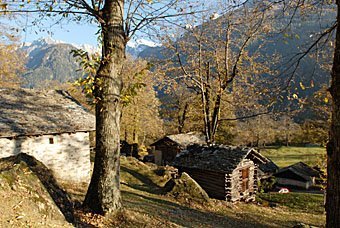 von Promontogno nach Soglio durch Kastanienwälder und Häuser der Kastaniensammler.