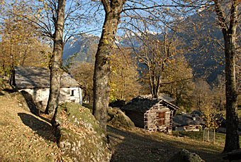 Von Promontogno nach Soglio durch Kastanienwälder und Häuser der Kastaniensammler.