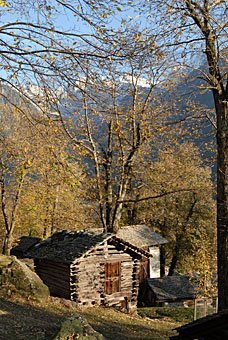 Bei Soglio durch Kastanienwälder und Häuser der Kastaniensammler.