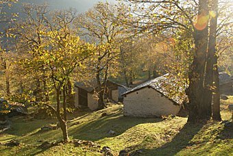 Von Promontogno nach Soglio durch Kastanienwälder und Häuser der Kastaniensammler.