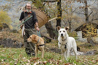 Kastanienbauer in Soglio mit Hunden