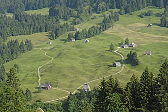 Hügellandschaft bei Riedbad im Toggenburg