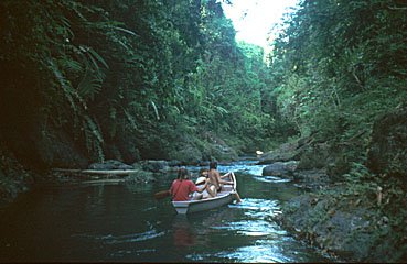 Urwaldfluss, Costa Rica