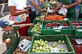 Marktstand mit Früchten