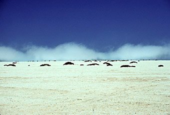 Nebelwalze im Küstenbereich bei Uis-Hentiesbai, Namibia  
