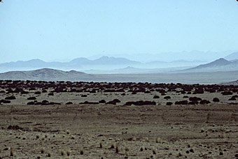 Wüstenlandschaft mit Bodennebel bei Lüderitz, Namibia  