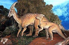 Parasaurolophus Saurier